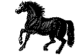 Stallion Logo